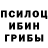 Галлюциногенные грибы GOLDEN TEACHER Gopatich