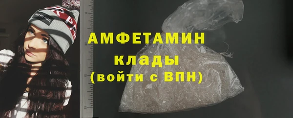 хмурый Аркадак
