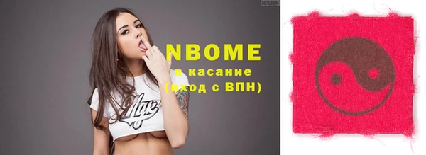 хмурый Аркадак