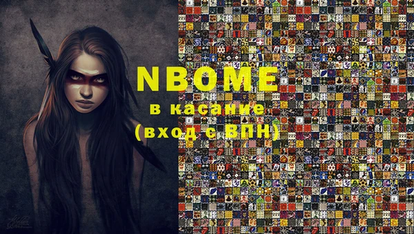 хмурый Аркадак