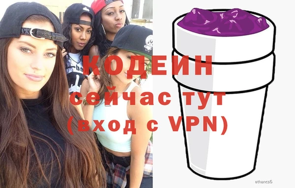 хмурый Аркадак