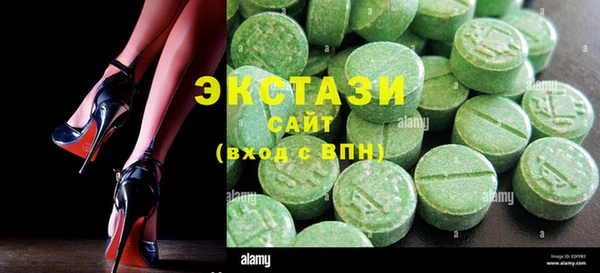 хмурый Аркадак