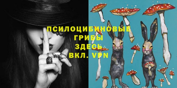 хмурый Аркадак