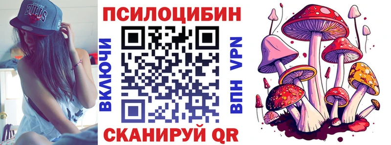 сколько стоит  мега ссылка  даркнет наркотические препараты  Набережные Челны  Псилоцибиновые грибы MAGIC MUSHROOMS 